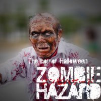 ゾンビハザードの中の人になりました💀 (@info_hazard) 's Twitter Profile