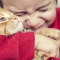 一歩踏み出す感動動画 (@ippohumidasu1) 's Twitter Profile Photo