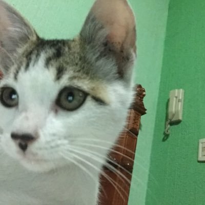 barsato63's profile picture. 