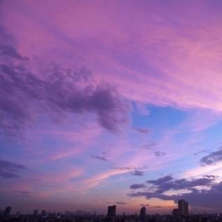 nakamura_chiho's profile picture. 