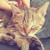 Jaclyn Ho (@jaclyn012020) 's Twitter Profile