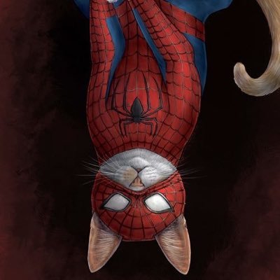 DiegoC1203's profile picture. Ya casi tres meses alado de la mujer que amo. 😍👌🏻