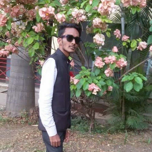 shanoorkhan783's profile picture. 