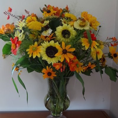 locally grown seasonal flowers, flowers for all occasions, based in Wiltshire