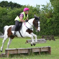 freetofly35 (@freetofly35) 's Twitter Profile