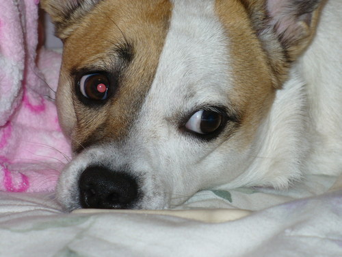 mariannewawa's profile picture. love my husband, my sweet dog, family, music,travel and my friends, Love VEGAS!