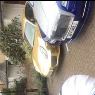 Forex/Binary trading. Team manager for #DCT. lets connect ✨