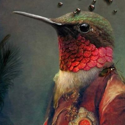 ChristopheFJ's profile picture. 