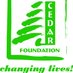 The Cedar Foundation (@cedarbulgaria) Twitter profile photo The Cedar Foundation (@cedarbulgaria) Twitter profile photo