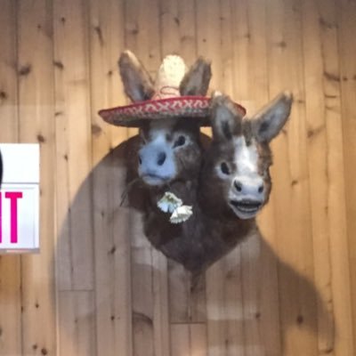 elbuenlennon's profile picture. 