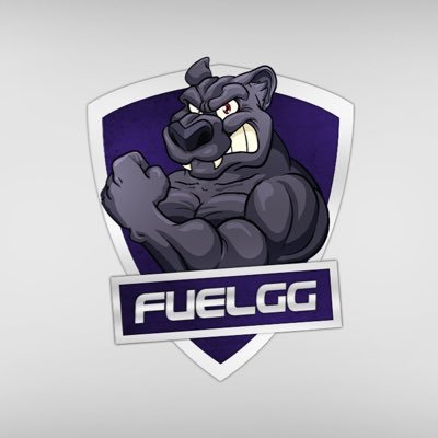 Professional CS:GO team Powered by: @energizegum @customesports @EnergyBears_gg