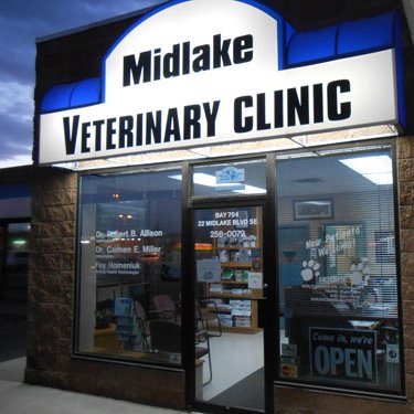 MidlakeVet Profile Picture