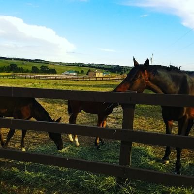 GraysonNate's profile picture. Don't ever cover up your personality, be yourself.. #realrecognizereal