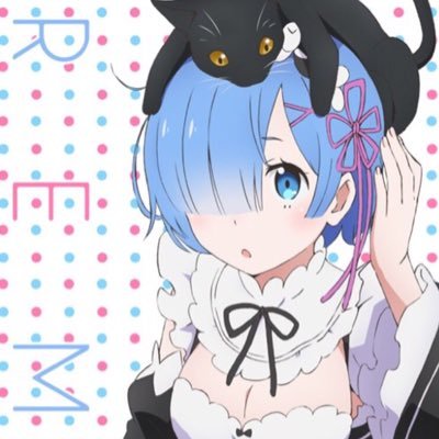 Re:փⱠƕ@ﾘｾﾞﾛさんのプロフィール画像