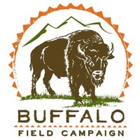 Buffalo Field Campaign(@BuffaloField) 's Twitter Profile Photo