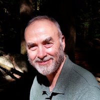 don pittis (@don_pittis) 's Twitter Profile Photo