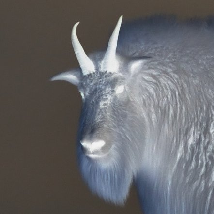 Chaos Goat