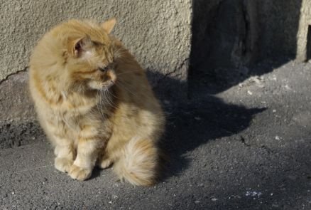 potovsky's profile picture. Щось я забув...