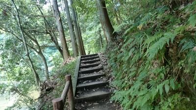 ドリームクローバーさんのプロフィール画像