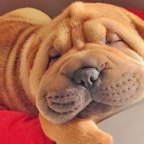 JanetR29's profile picture. Vivir la vida, como si fuera el ultimo día