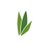 joomlabamboo's profile image