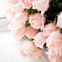 Lillian (@golightgreen) 's Twitter Profile
