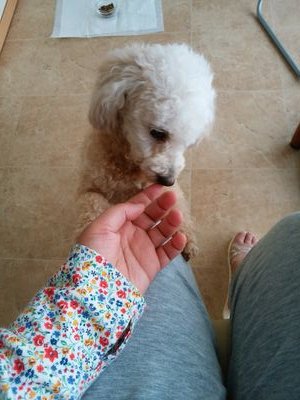 megmegmeg55's profile picture. 