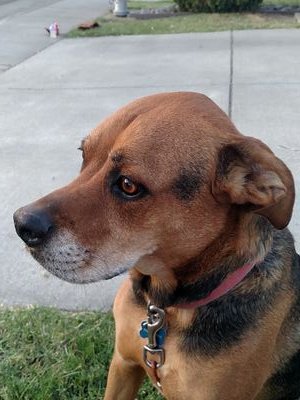 bzap25's profile picture. 