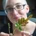 Dr. Melanie Link-Perez 🏳️🌈🌿 (@mlinkperez) Twitter profile photo Dr. Melanie Link-Perez 🏳️🌈🌿 (@mlinkperez) Twitter profile photo