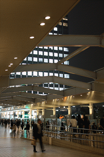 ohsodoly's profile picture. 