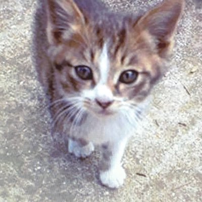 ry03120726's profile picture. 2児のママです😊