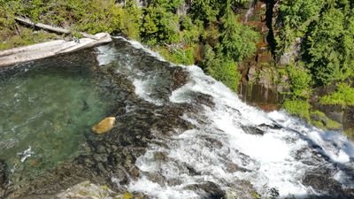 r4figgs's profile picture. 