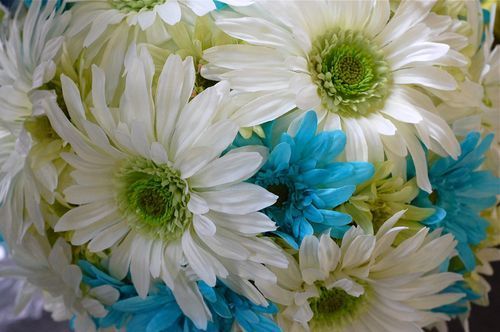 maxcold84's profile picture. 웃어,즐겨,달려