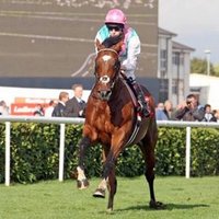 Stuart Appleton (@stuappo) 's Twitter Profile