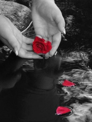 Nasir_kk85's profile picture. ‏دل درویش ہے سادگی اور کم پر جینا سیکھاتا ہے اور دماغ شیطان ہےزیادہ پر بضد اور دنیاوی آسائشوں کی کثرت کو زندگی کےلبادے میں لپیٹ کر پیش کرتاہے