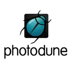ThemeForest, Codecanyon,Graphicriver, Videohive,Audiojungle, Photodune, 3dOcean All envato market News Items