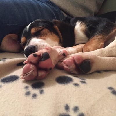 cecifdezfranco's profile picture. San Vicente do Mar +42° 27' 11.19, -8° 55' 28.95