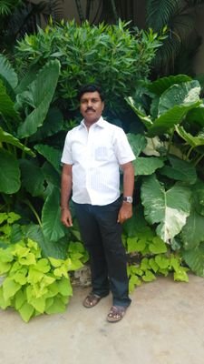 madanmohanraope's profile picture. 