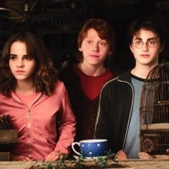 Votre 1er compte source pour tous les potterheads francophones. ⚡️| Concept à découvrir ici : https://t.co/vnmwDzTTGk