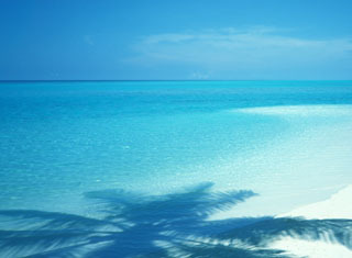 lojohn's profile picture. 