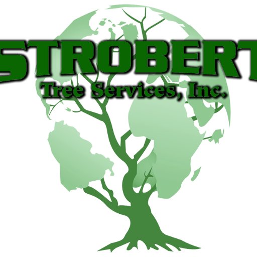 The tri-state area's premier tree service company. Focused on preservation & care of mature trees & the overall health of landscapes. 302-656-6077