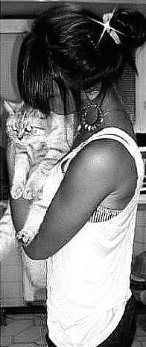 josemembrenoj's profile picture. 