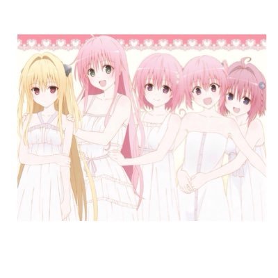 モモ@TOLOVEる大好きー！さんのプロフィール画像