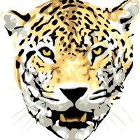Thomas Grover Middle School (@tgmsjags) 's Twitter Profile