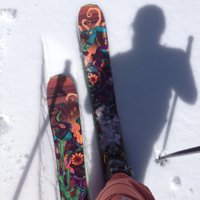 Andrea Pearson (@alpine_ap) 's Twitter Profile Photo Andrea Pearson (@alpine_ap) 's Twitter Profile Photo