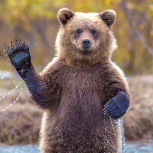 archaeologist, historic preservationist, father, avid whitewater rafter and wilderness hiker, Go Cubs!, U of M alum, Griz fan, lover of all things huckleberry!