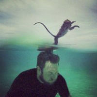David Darg (@daviddarg) 's Twitter Profile