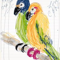BirdieMom (@deborahbaer5) 's Twitter Profile