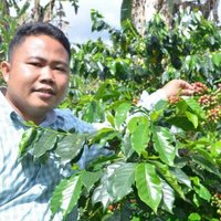 Pebriyansah (@pebri_yans) 's Twitter Profile