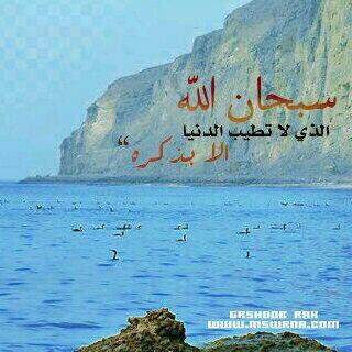 ayalbakri's profile picture. ...